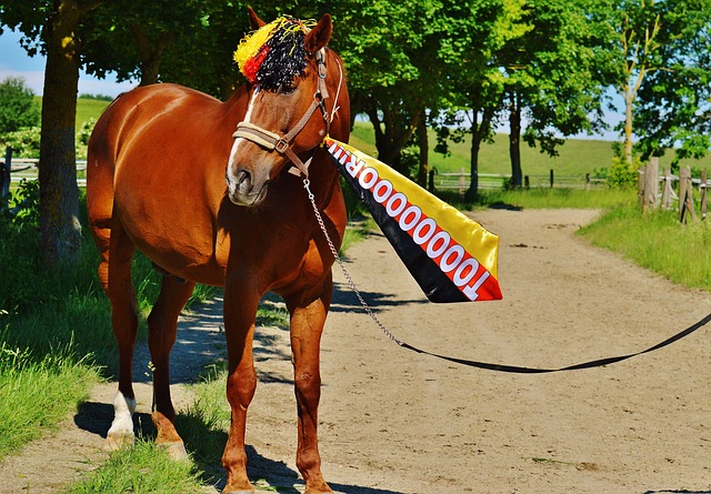 了个人水平 了个人水平