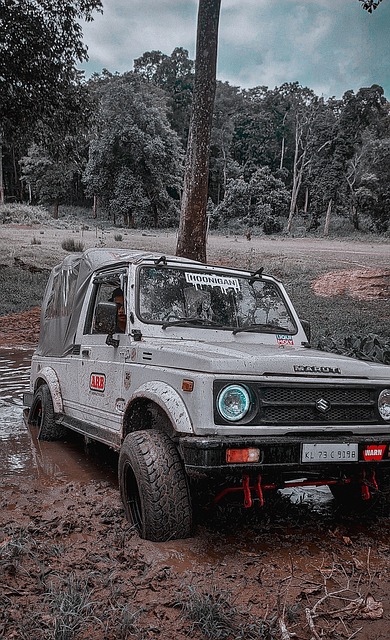 双方都展现 双方都展现