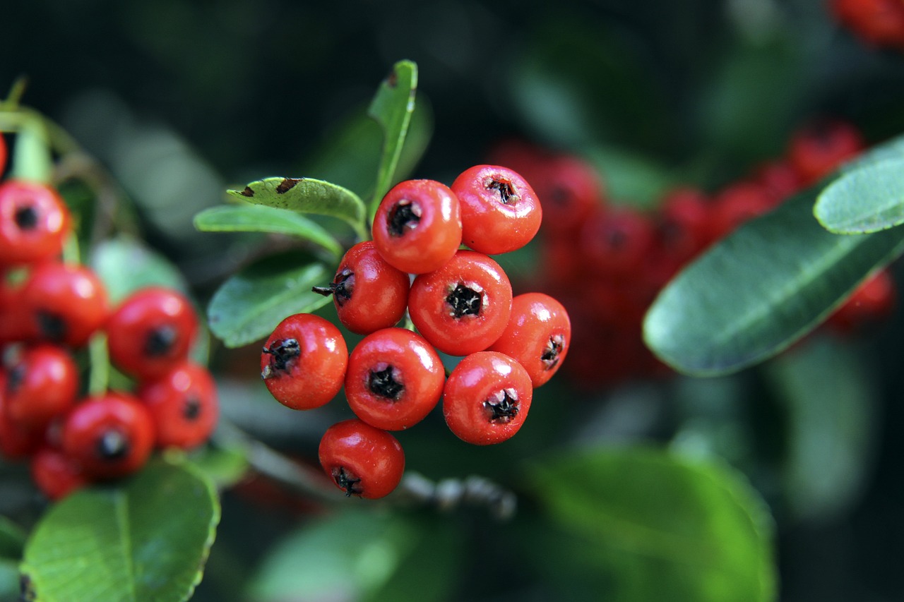 状态的秘诀 状态的秘诀