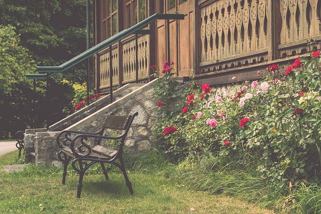 深厚的默契 深厚的默契