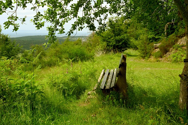 軍之爭更加 軍之爭更加